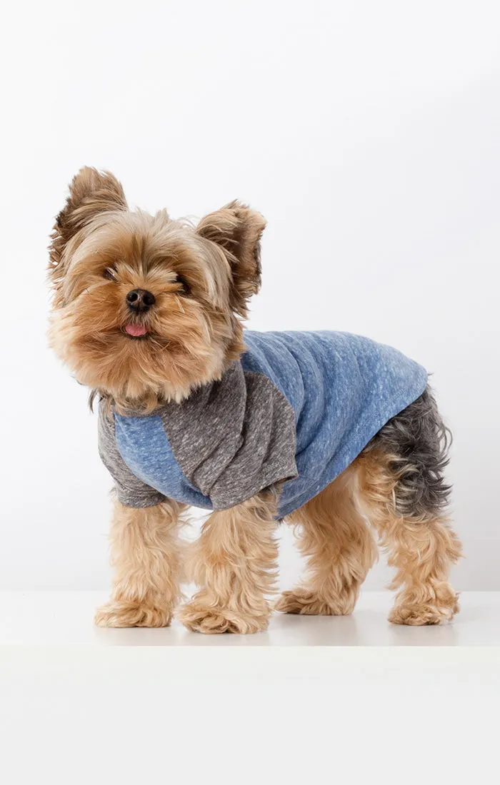 Dog Baseball Tee Blue/Grey